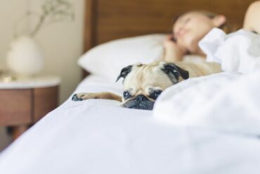 Beyond CPAP: Functional Medicine for Sleep Apnea